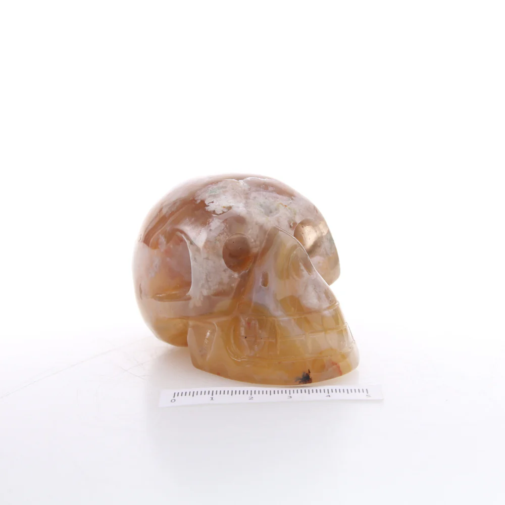 Miniatuur 3