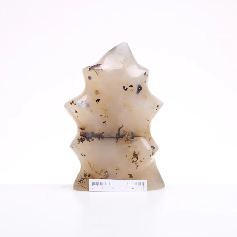 Miniatuur 3
