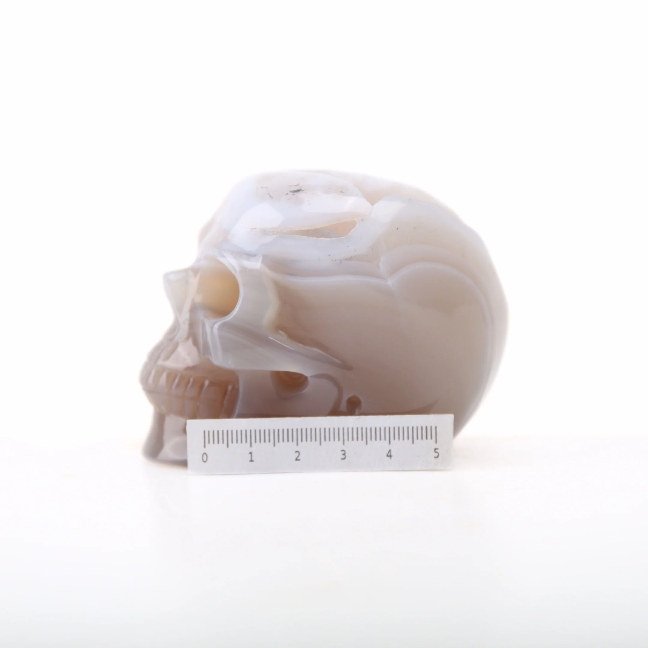 Miniatuur 5