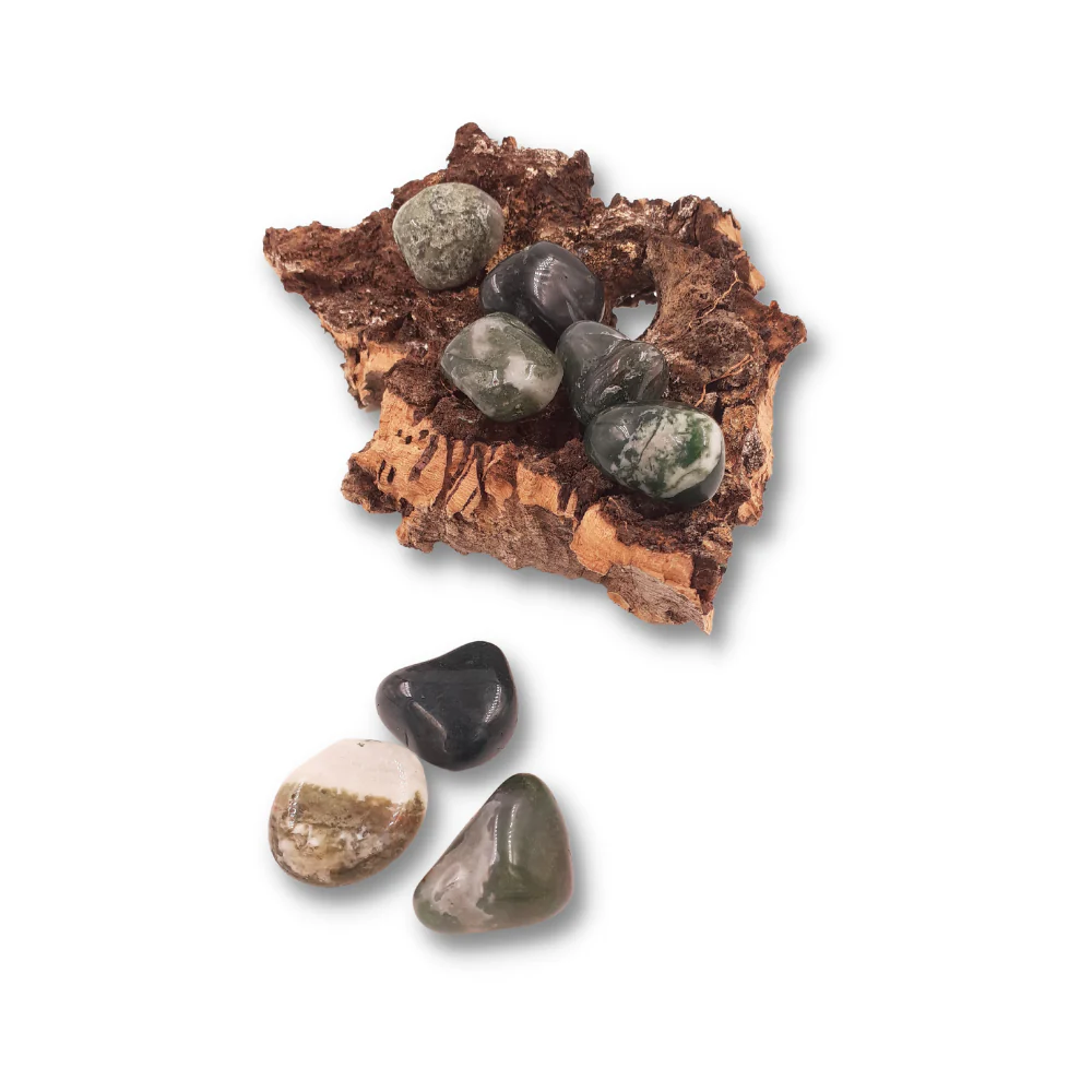 Miniatuur 2