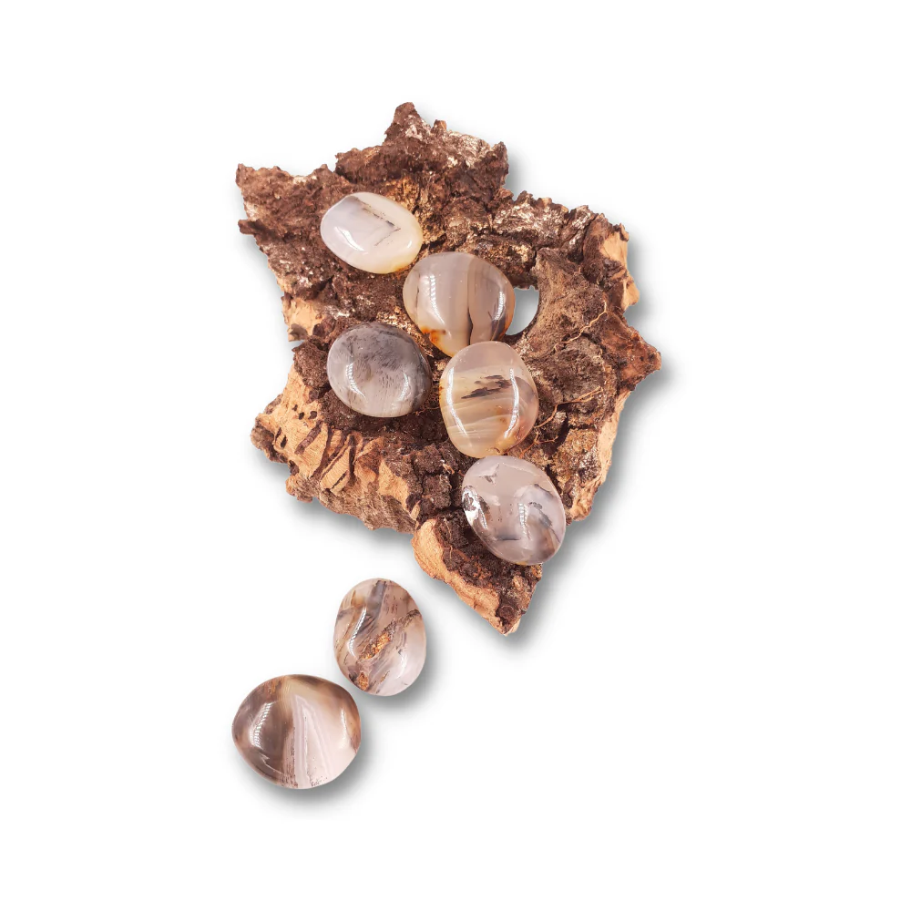 Miniatuur 2