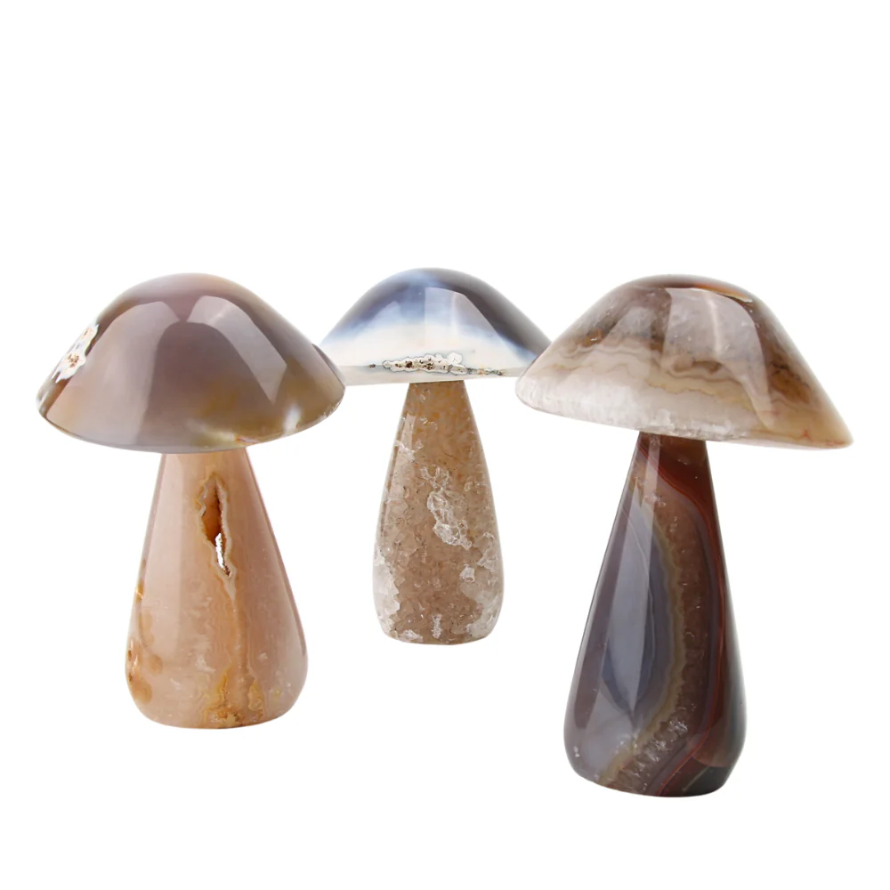 Miniatuur 3