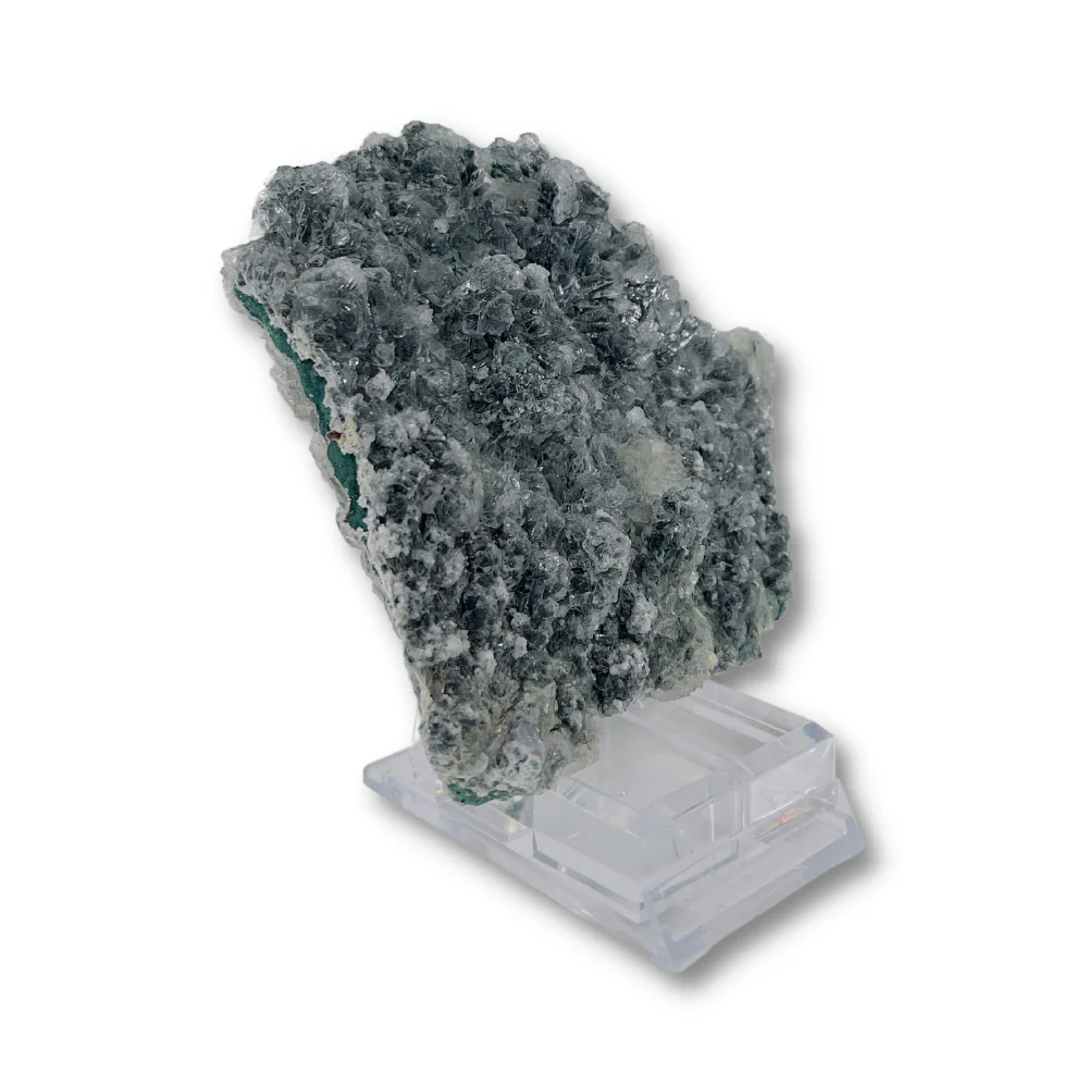 Miniatuur 2