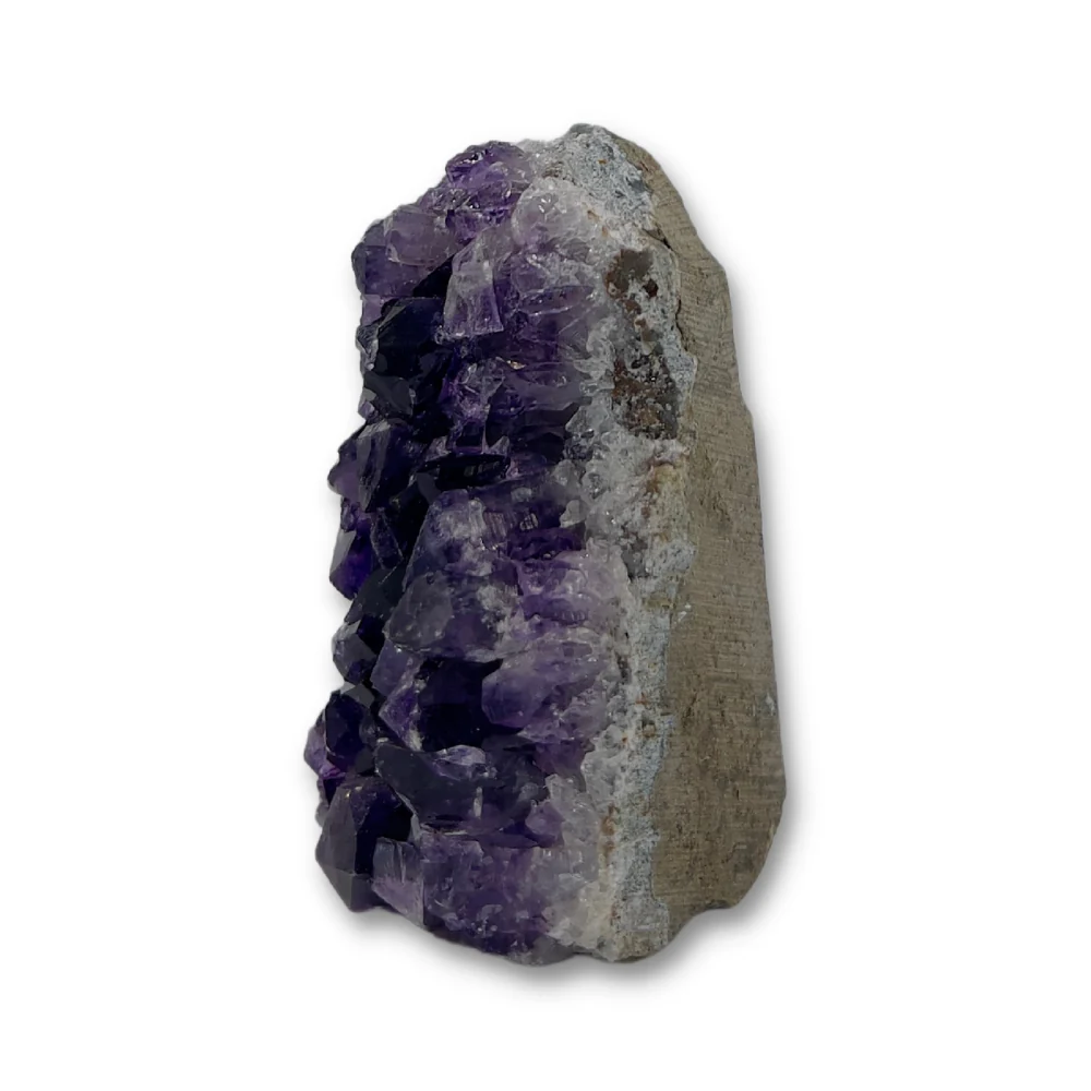 Miniatuur 3