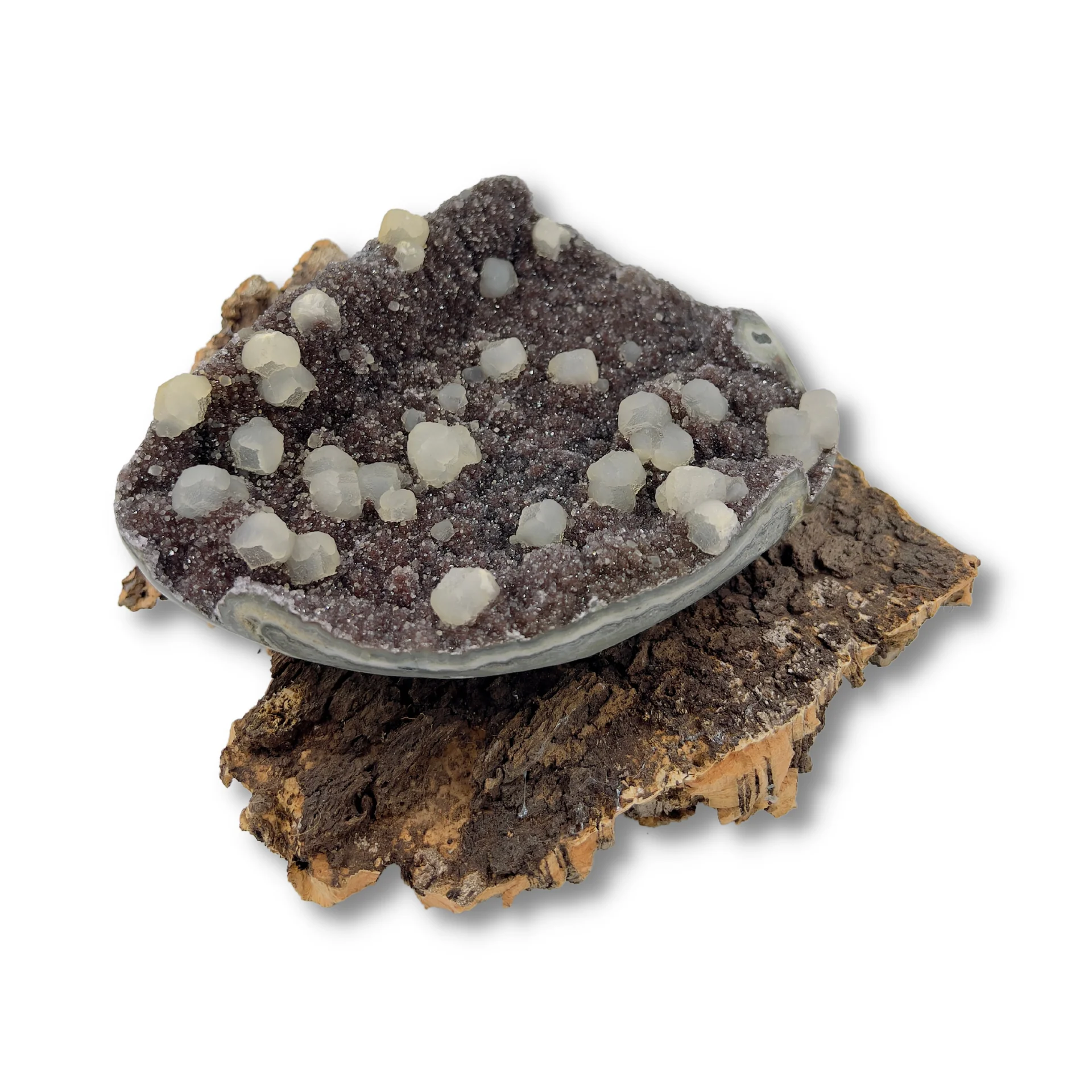 Miniatuur 4