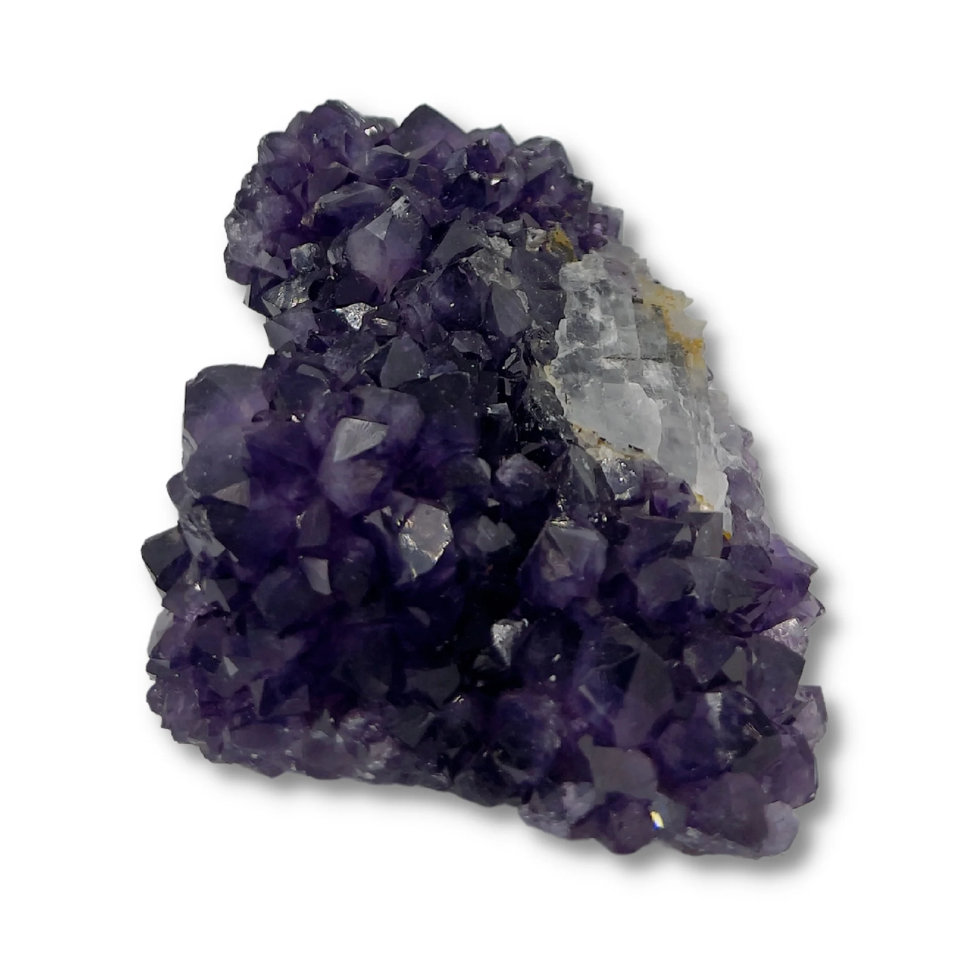 Miniatuur 2