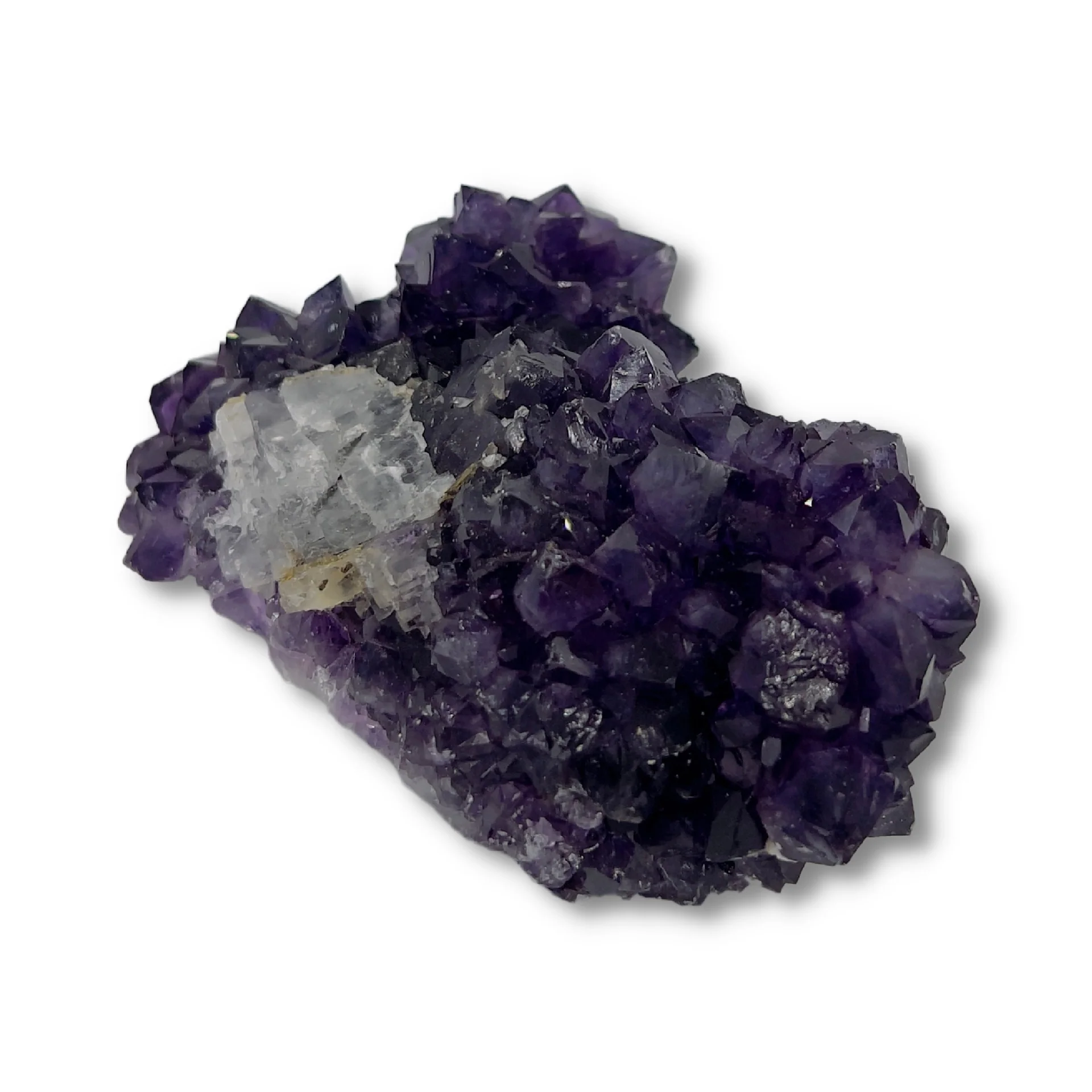 Miniatuur 3