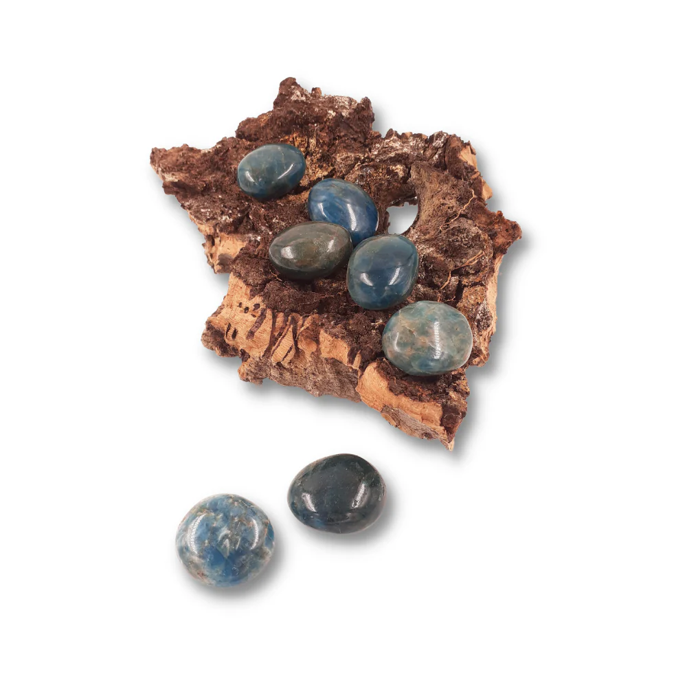 Miniatuur 2