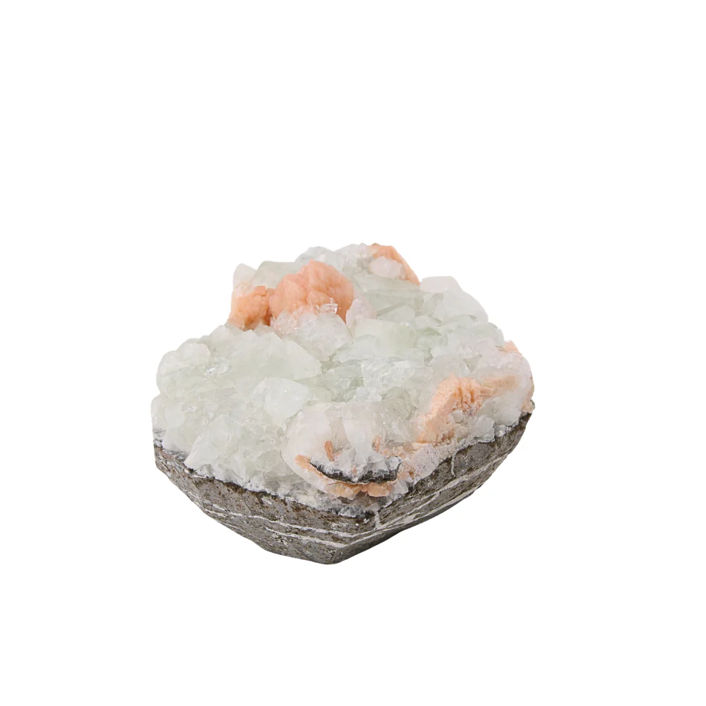 Miniatuur 4