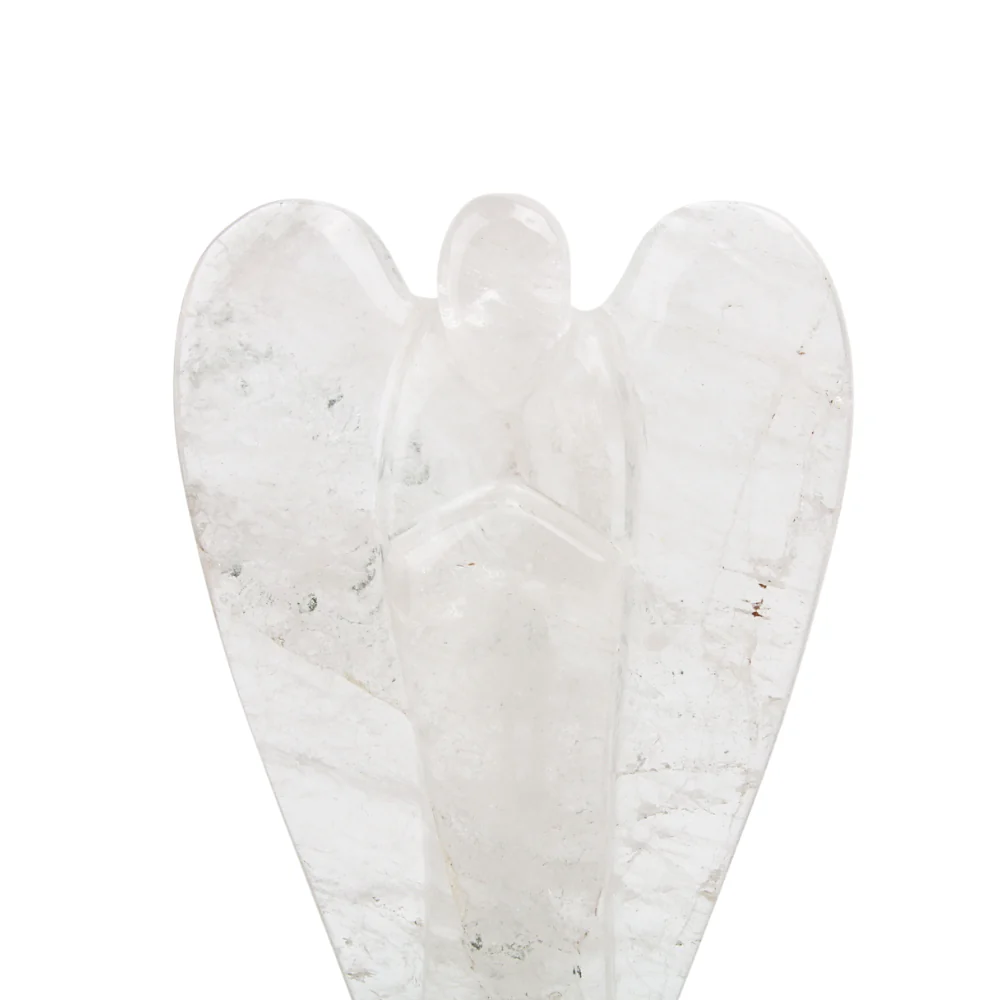 Miniatuur 3