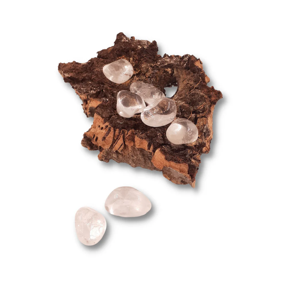Miniatuur 2