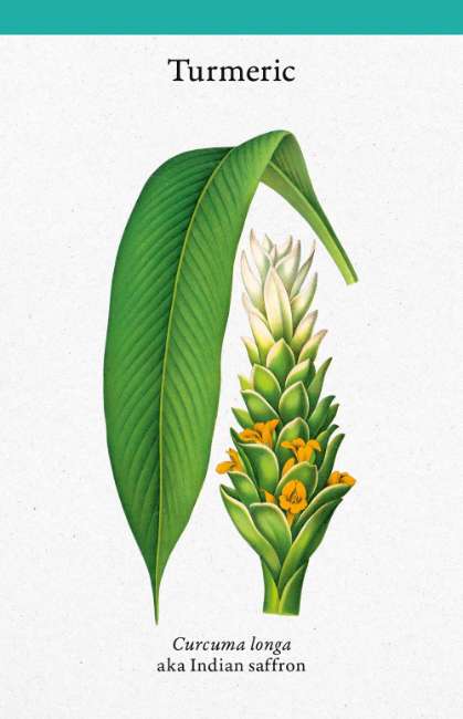 Miniatuur 2