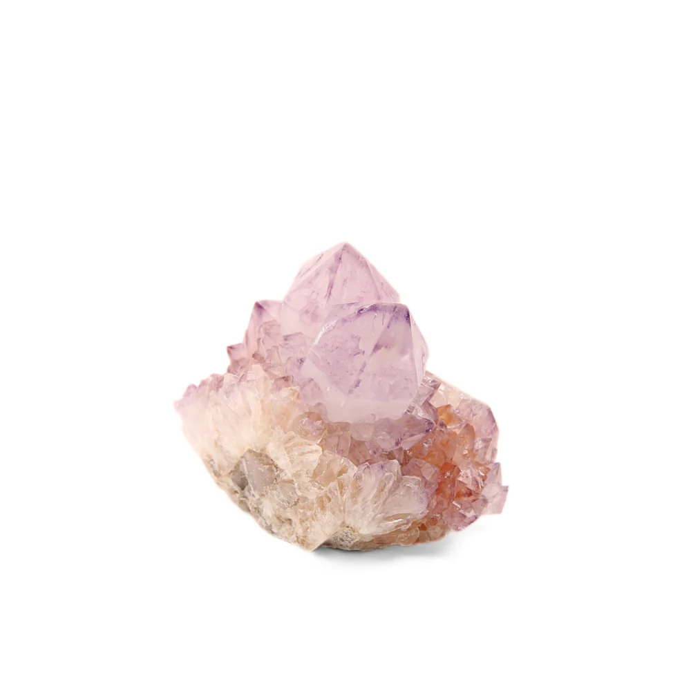 Miniatuur 2