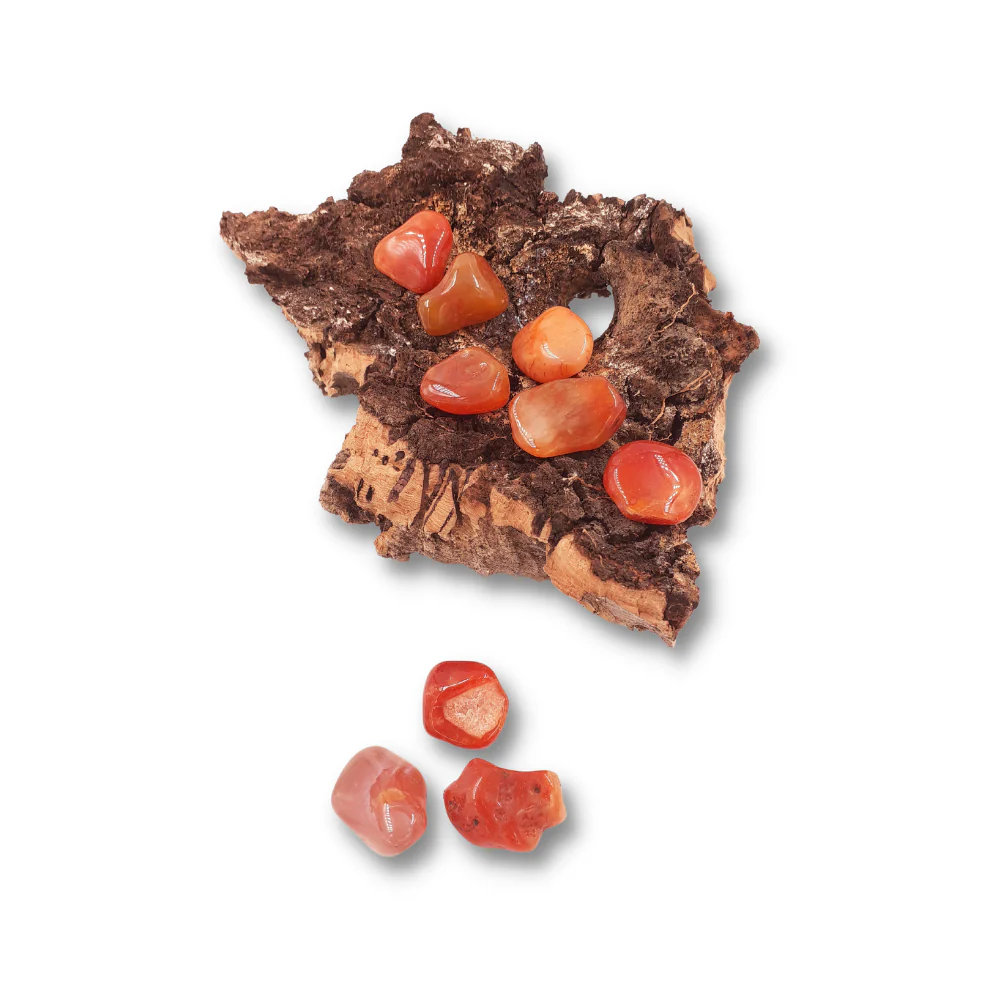 Miniatuur 2