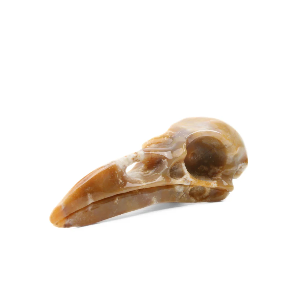 Miniatuur 3