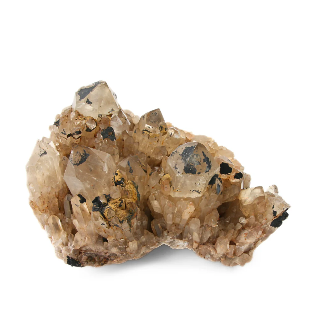 Miniatuur 2