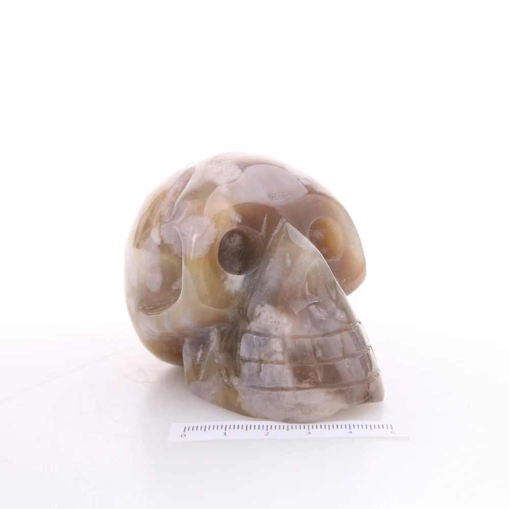Miniatuur 3