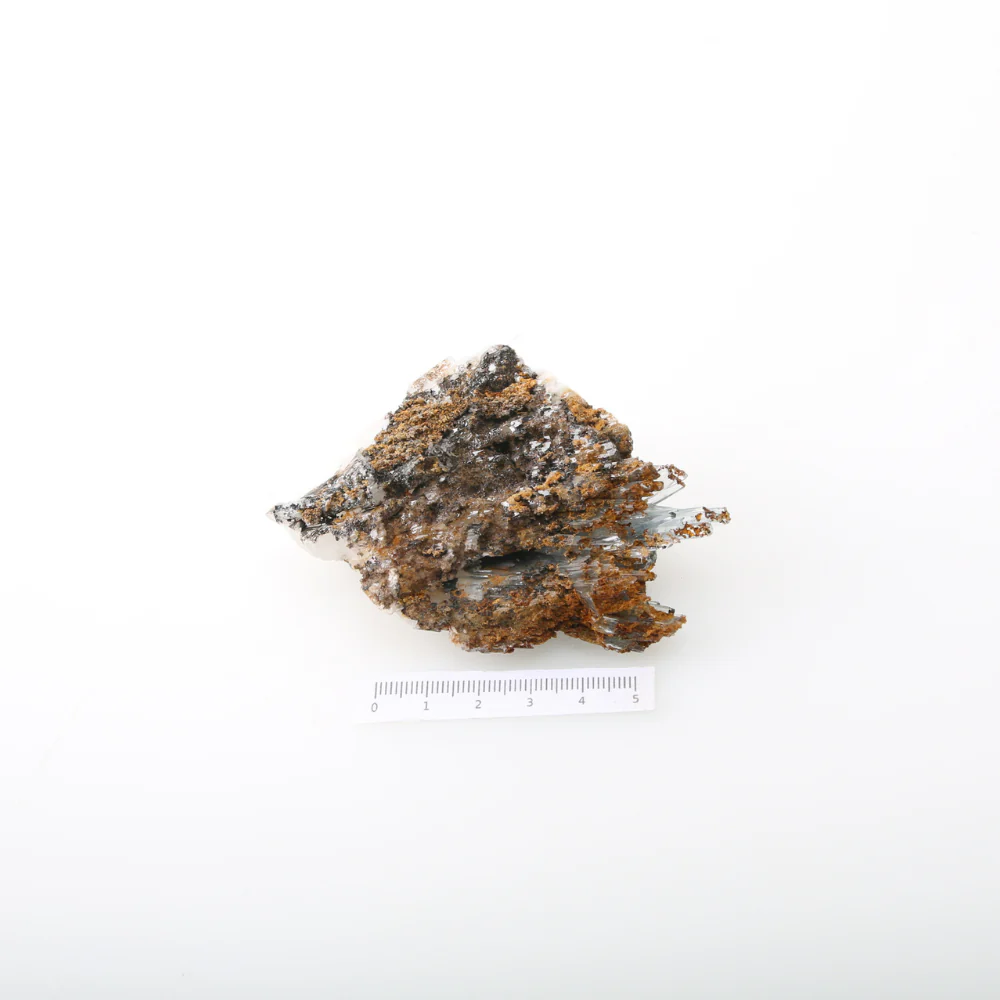 Miniatuur 3