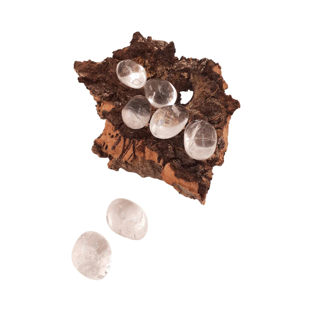 Miniatuur 2
