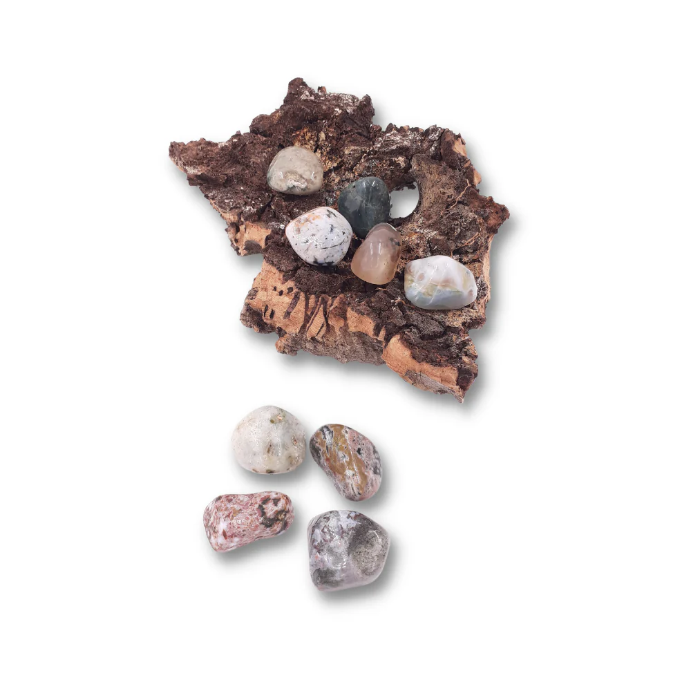 Miniatuur 2