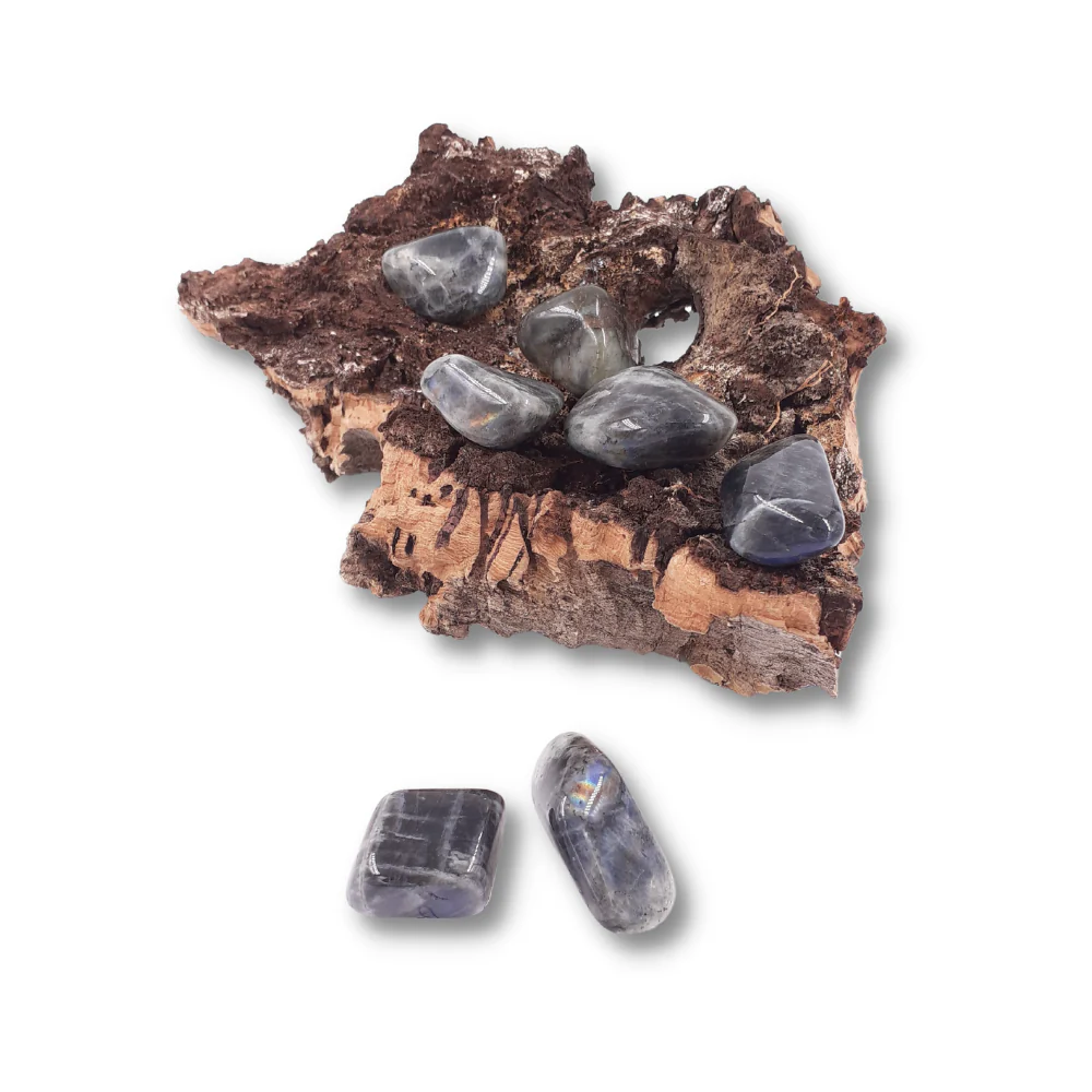 Miniatuur 2