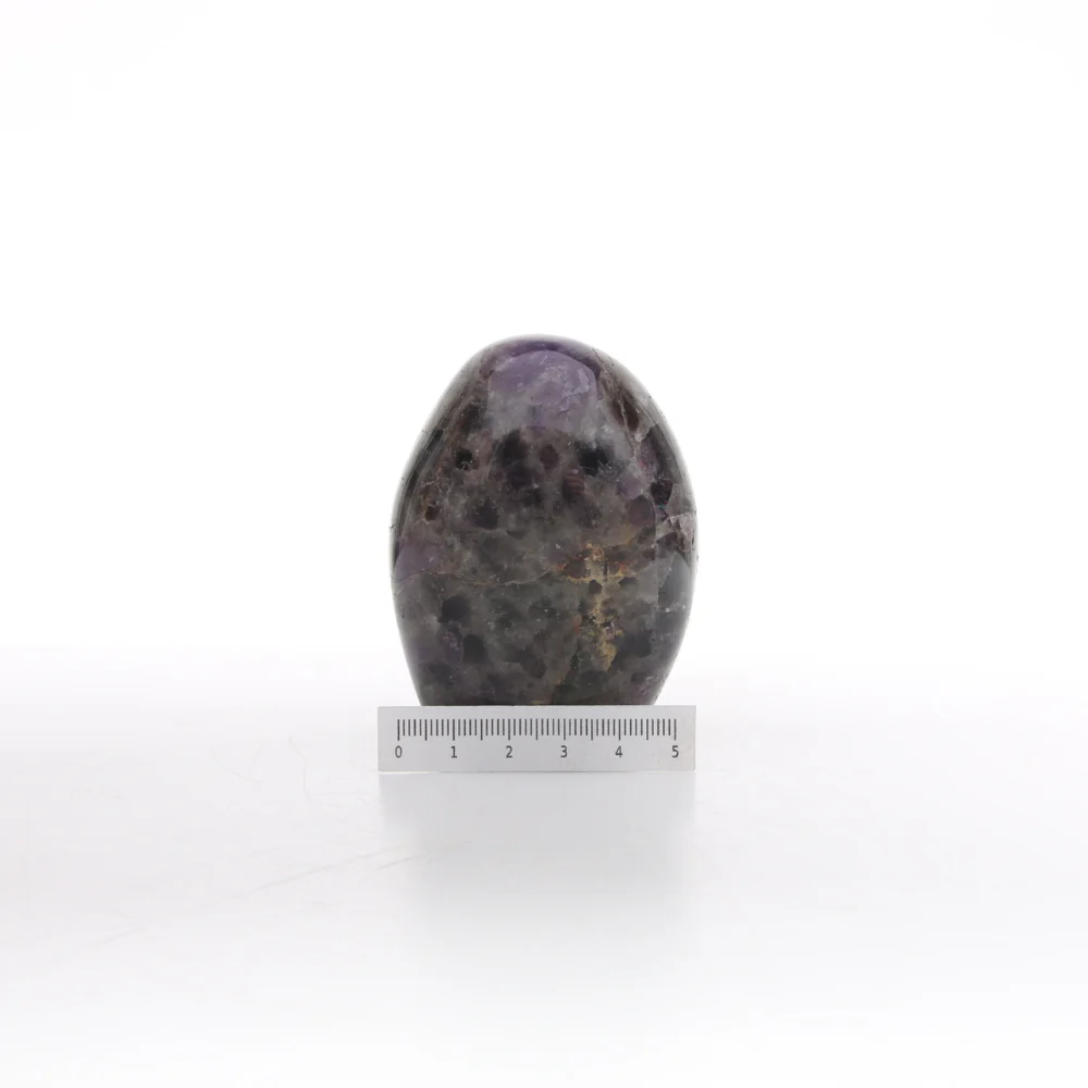 Miniatuur 2