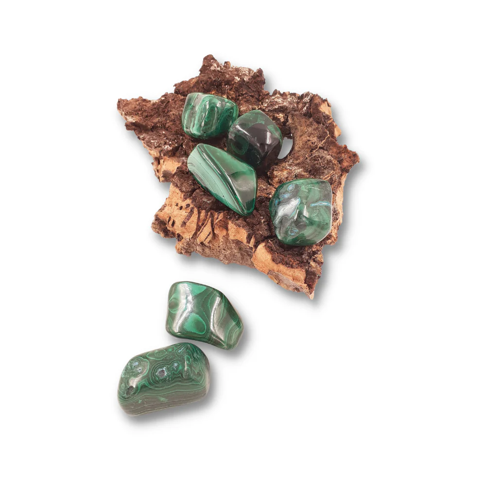 Miniatuur 2