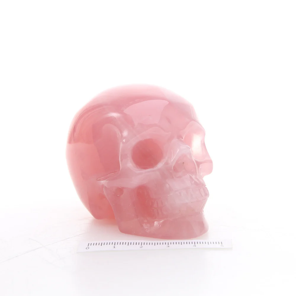 Miniatuur 3