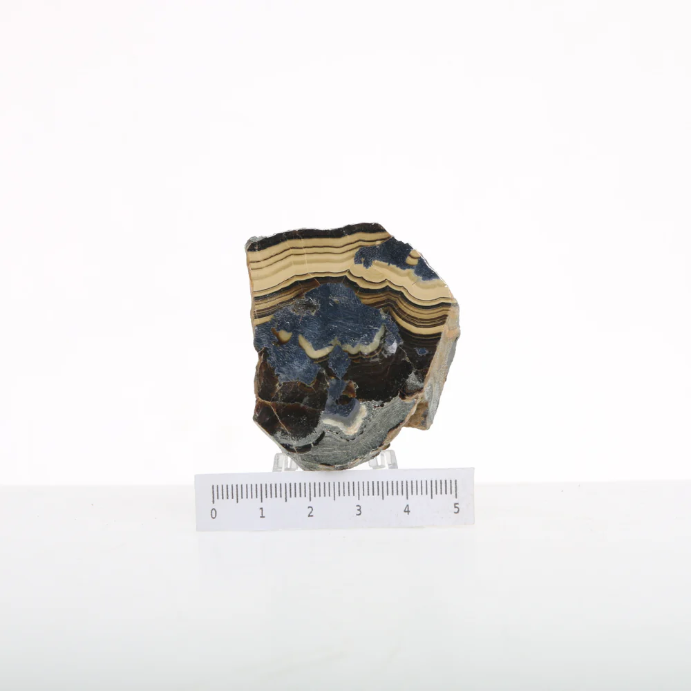 Miniatuur 2