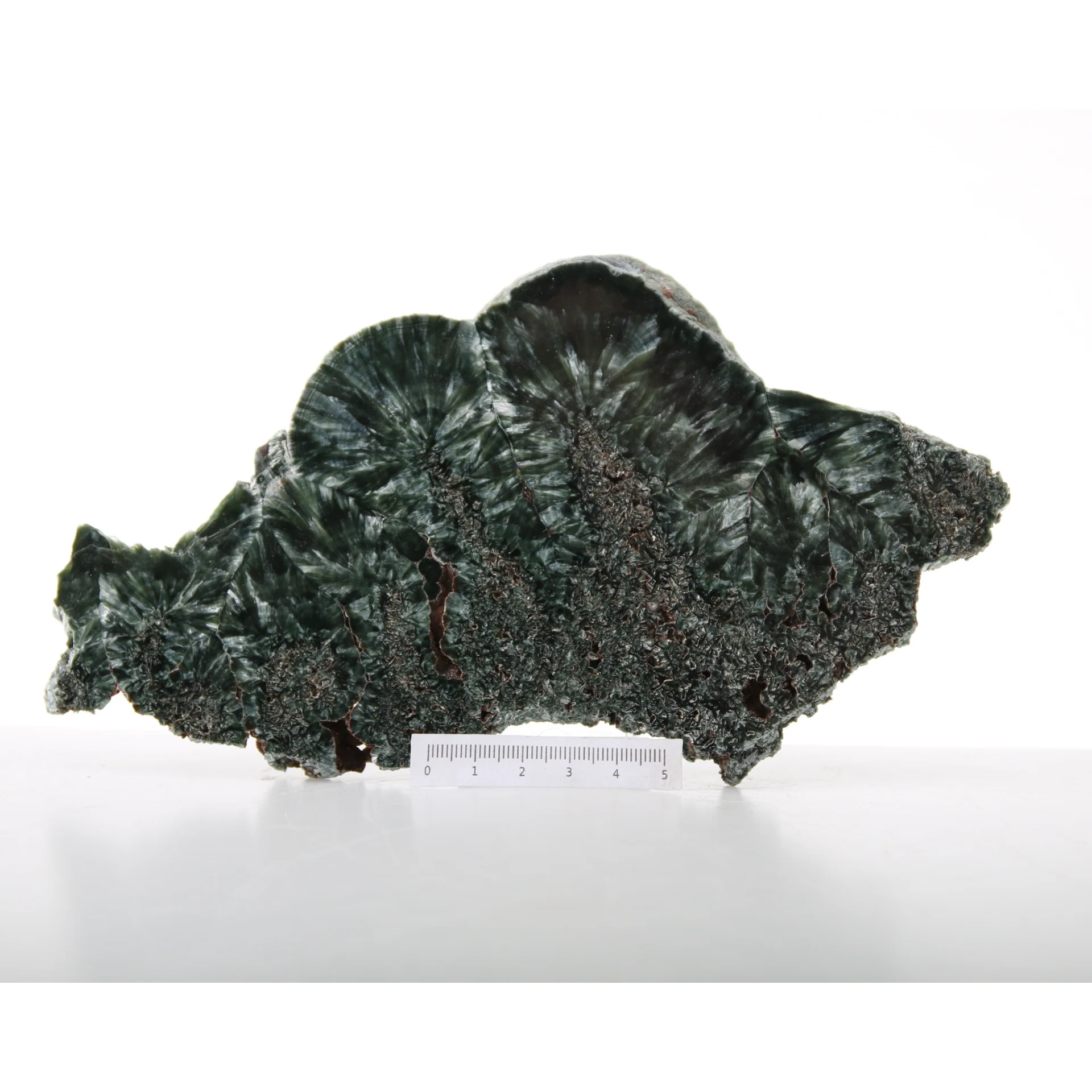 Miniatuur 3
