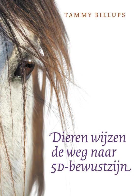 Productafbeelding 1