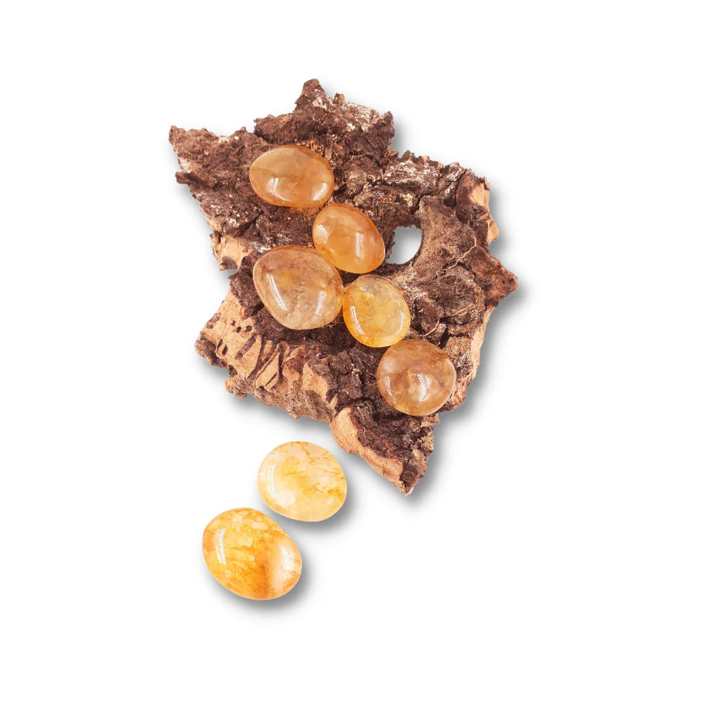 Miniatuur 2