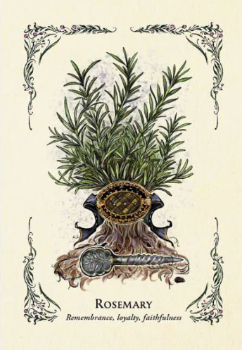 Miniatuur 2