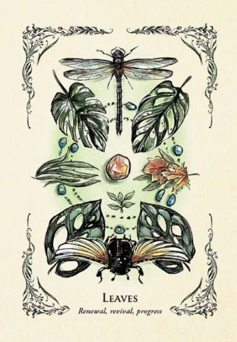 Miniatuur 3