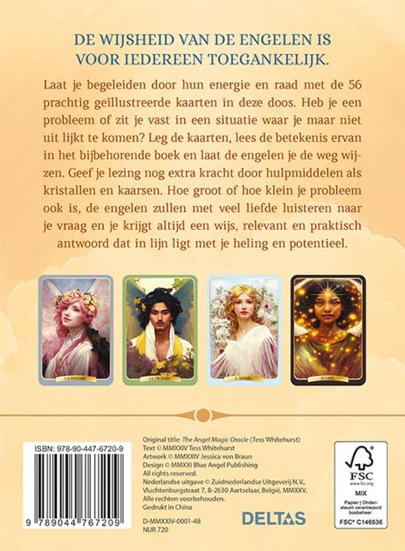 Miniatuur 2