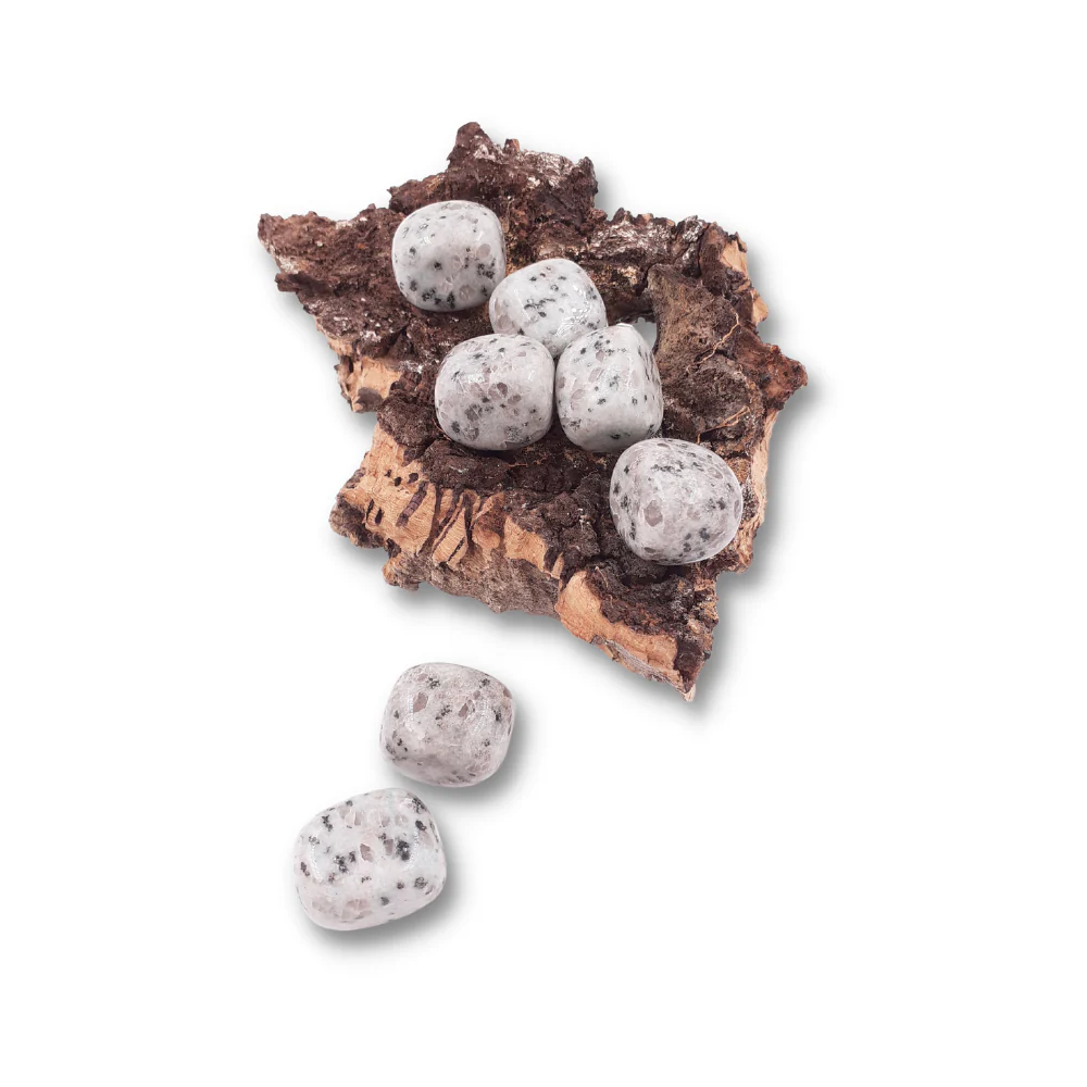 Miniatuur 2