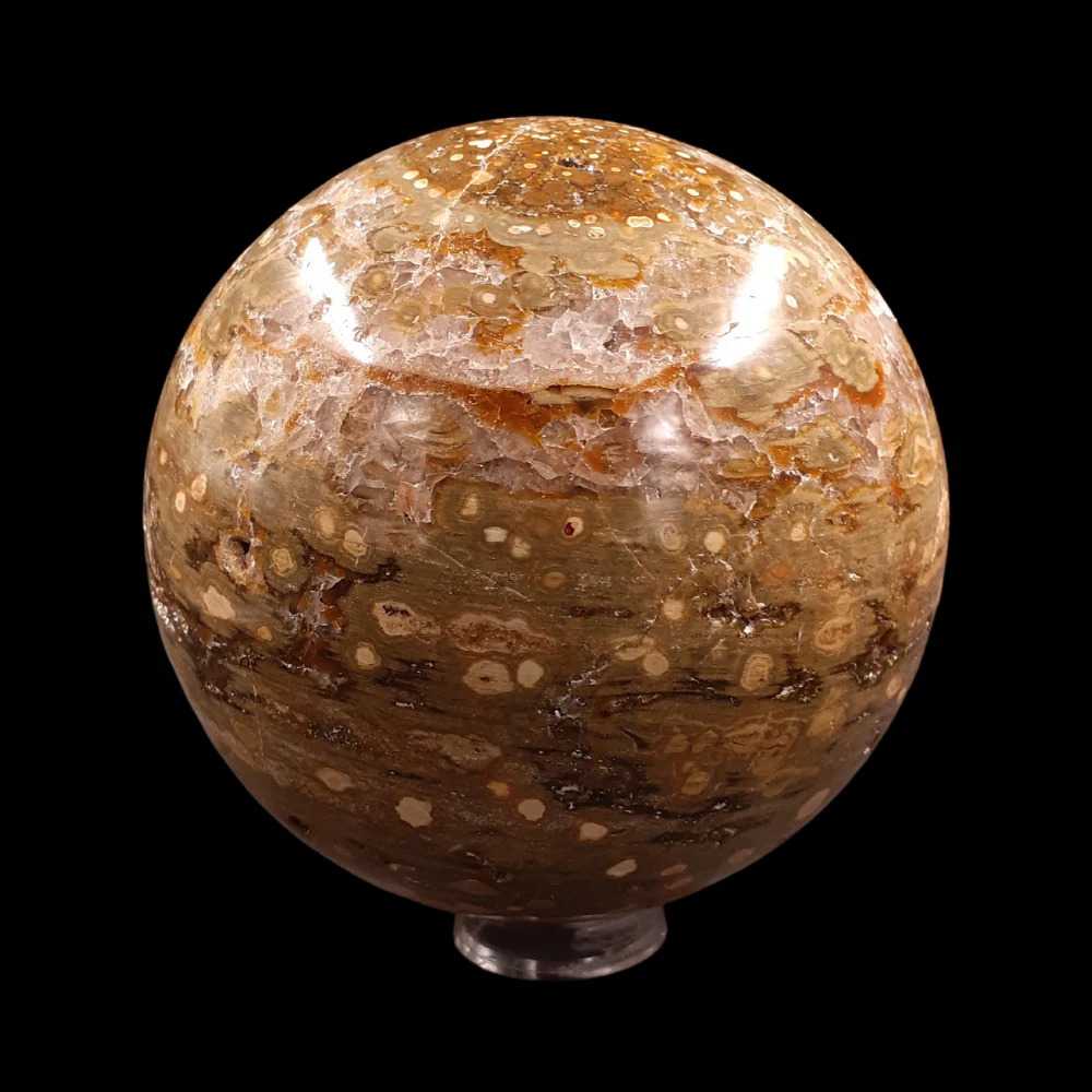 Miniatuur 6