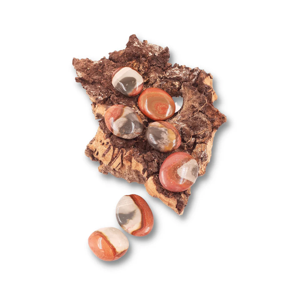 Miniatuur 2
