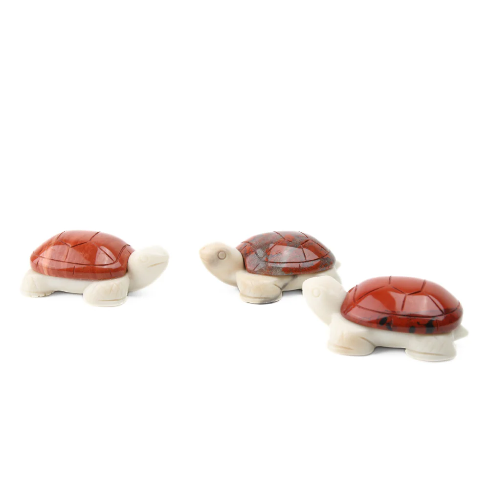 Miniatuur 3