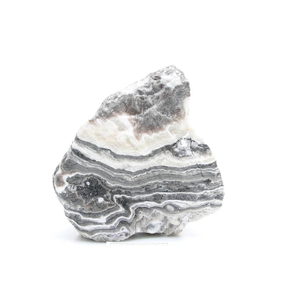 Miniatuur 3
