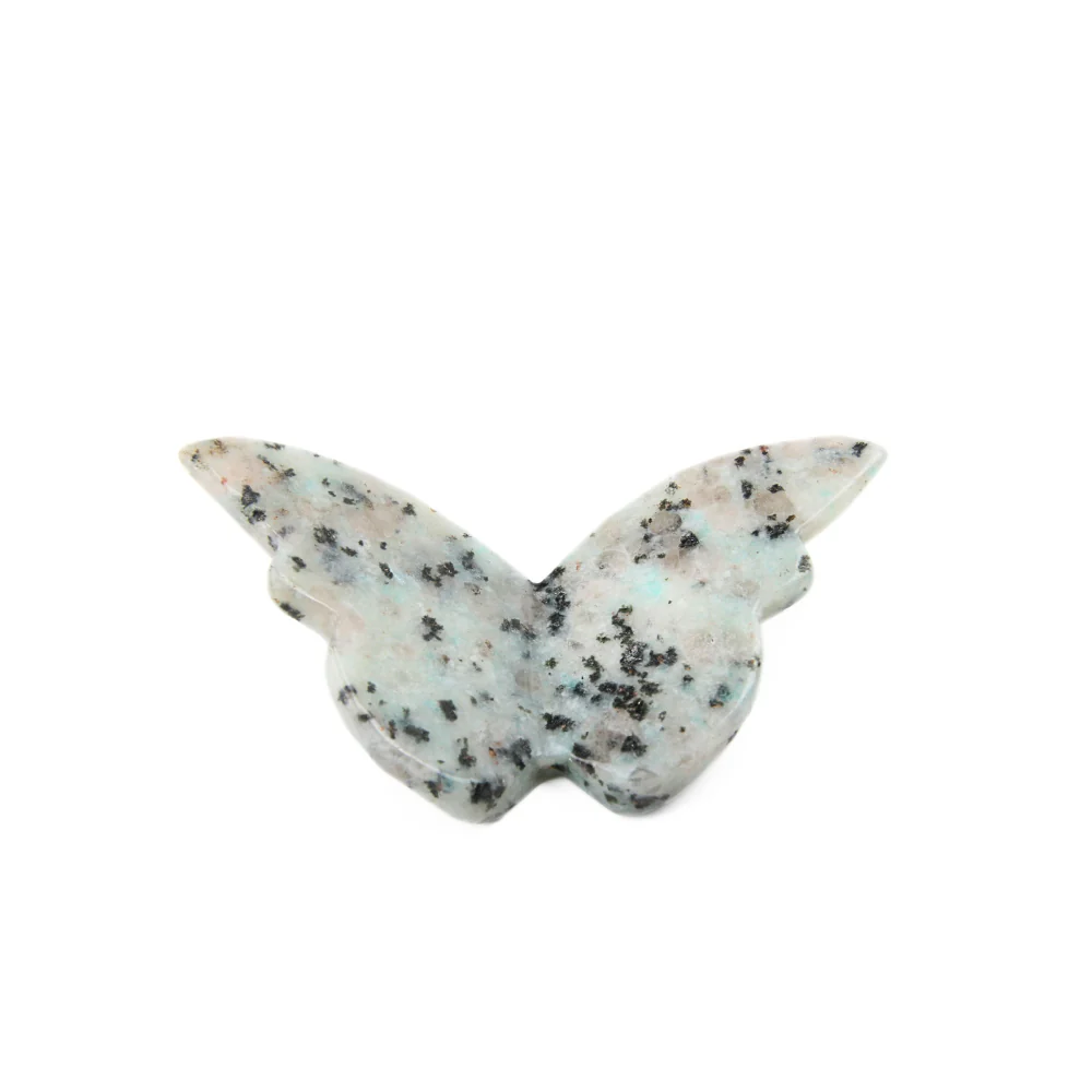 Miniatuur 3