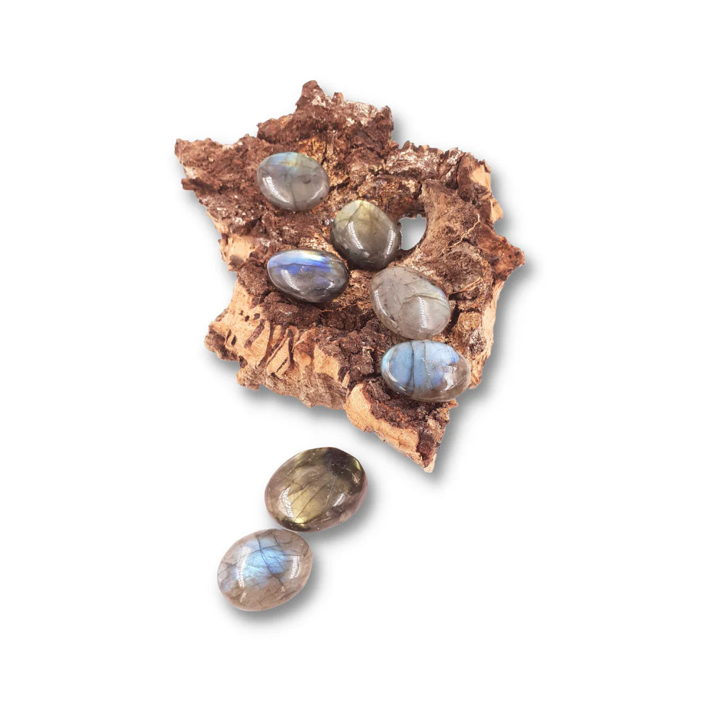 Miniatuur 2