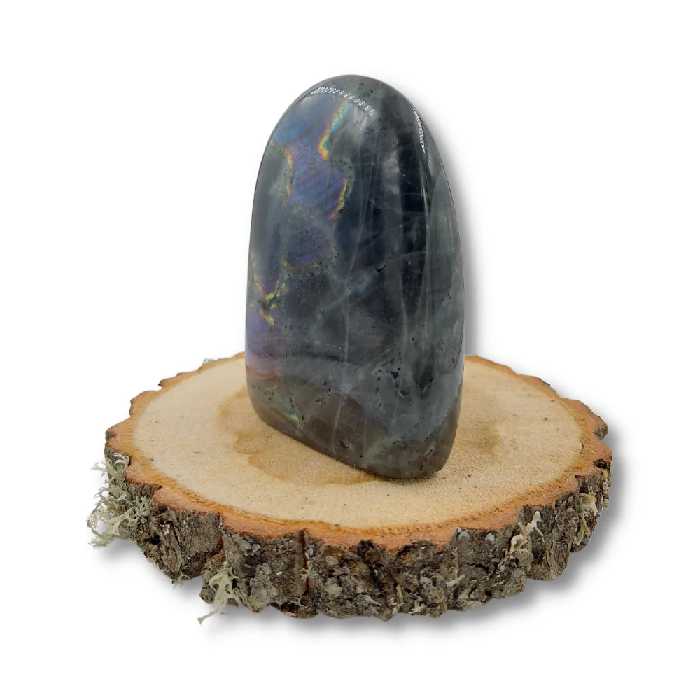 Miniatuur 4
