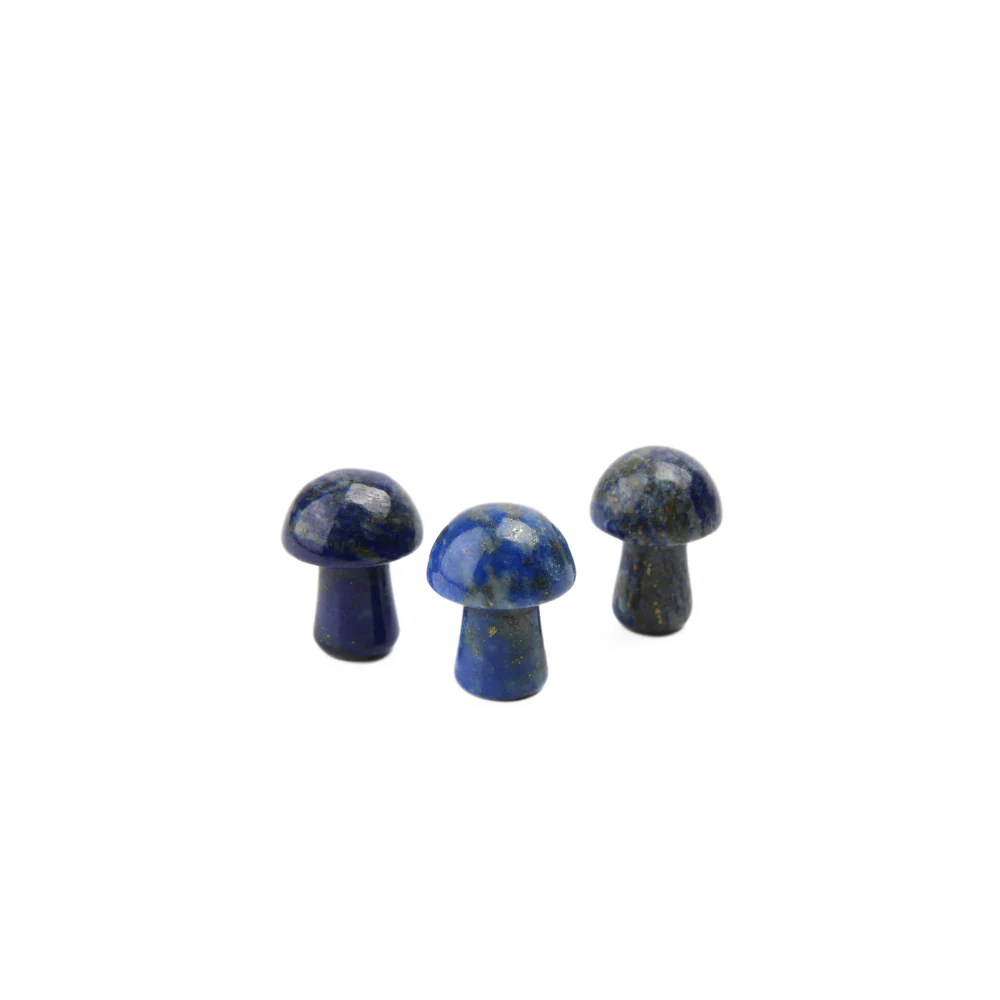 Miniatuur 2