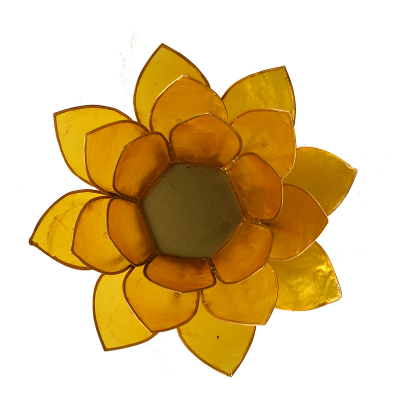 Miniatuur 2