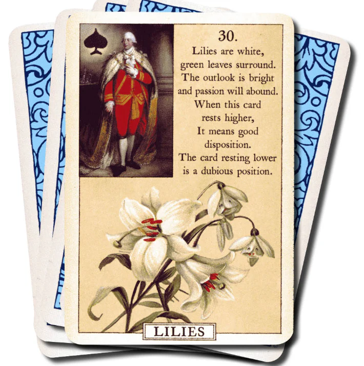 Miniatuur 5