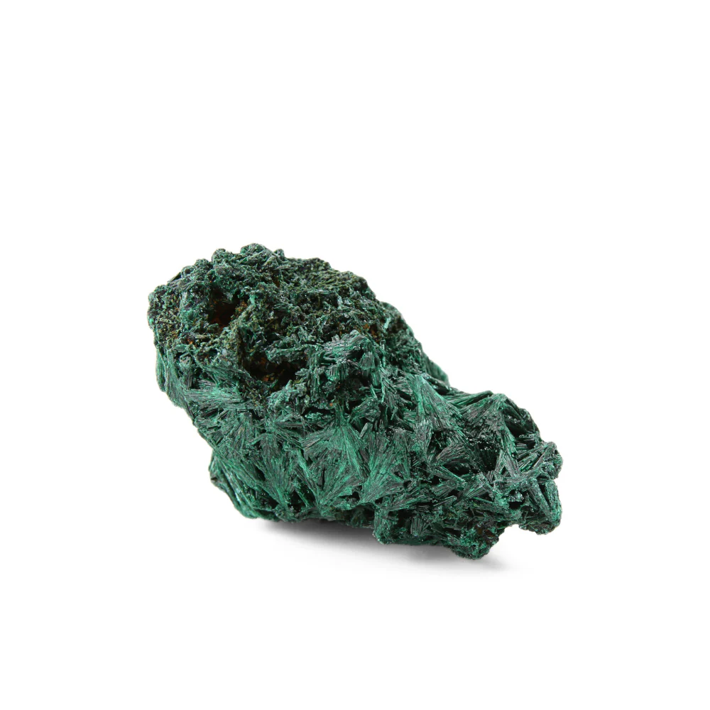 Miniatuur 3