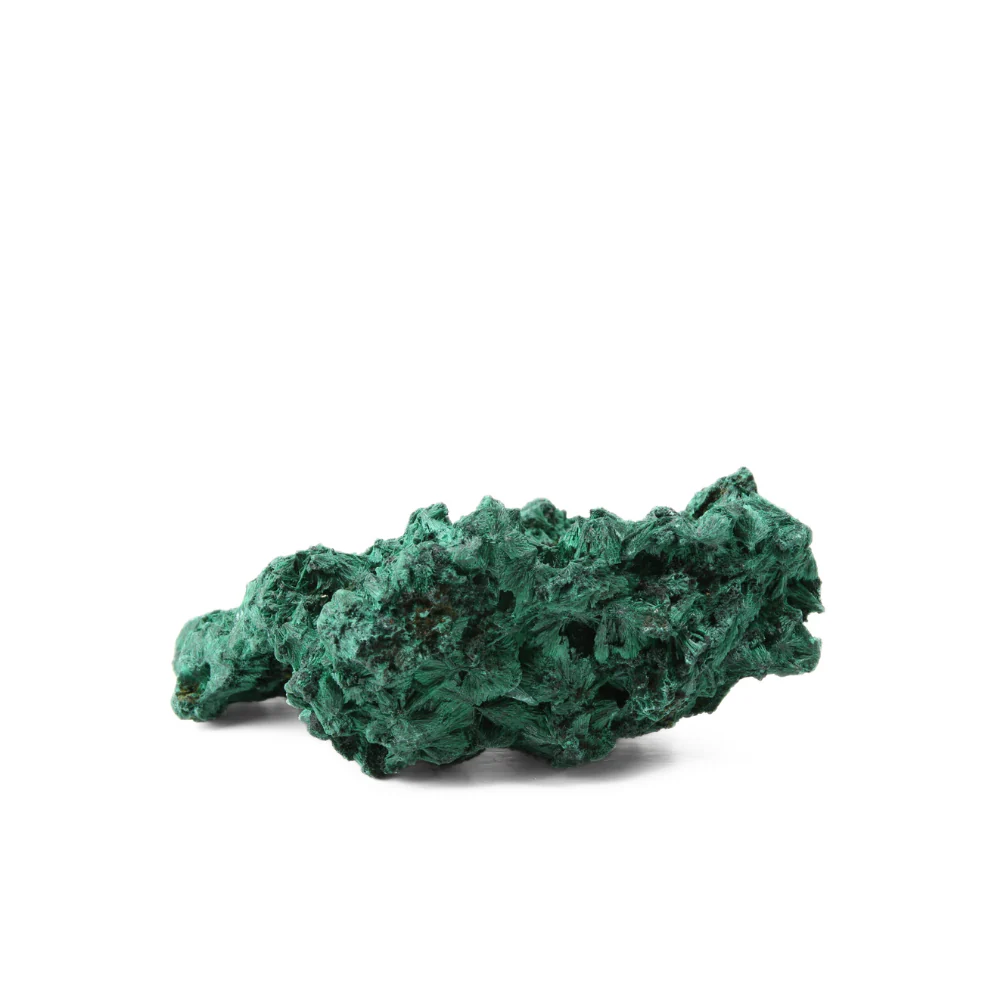 Miniatuur 3