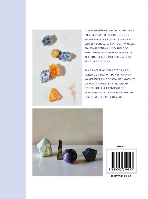 Miniatuur 2