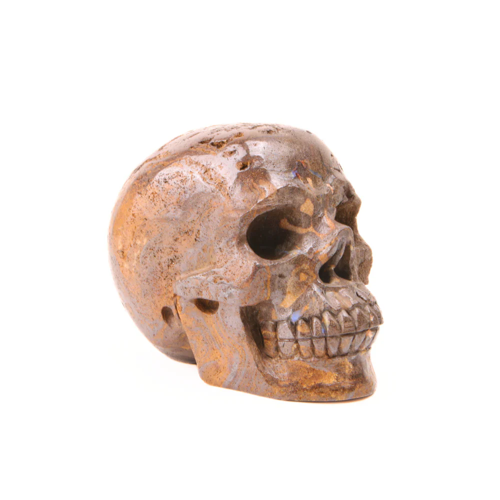 Miniatuur 4